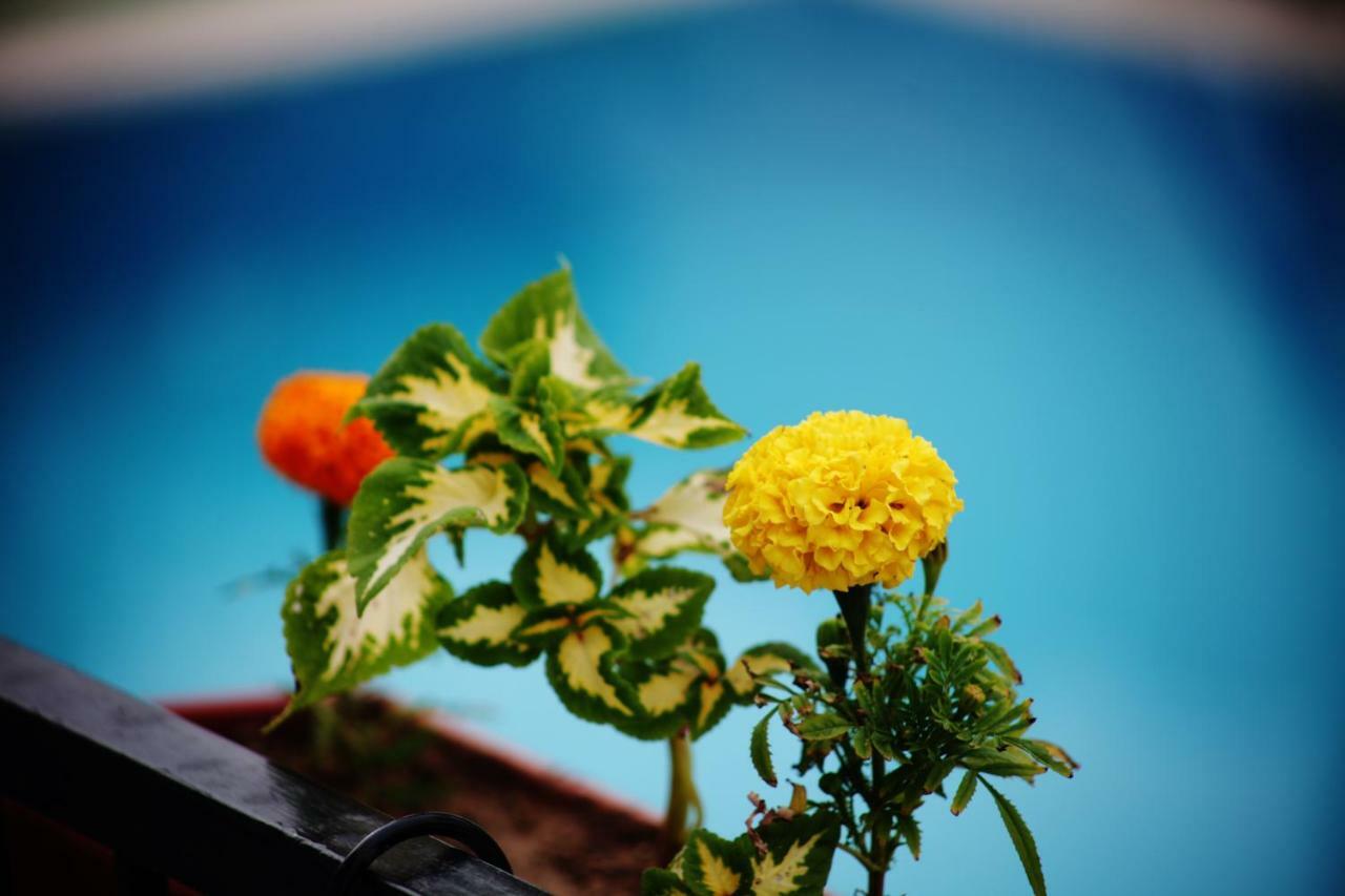 Can Otel Bodrum Kültér fotó